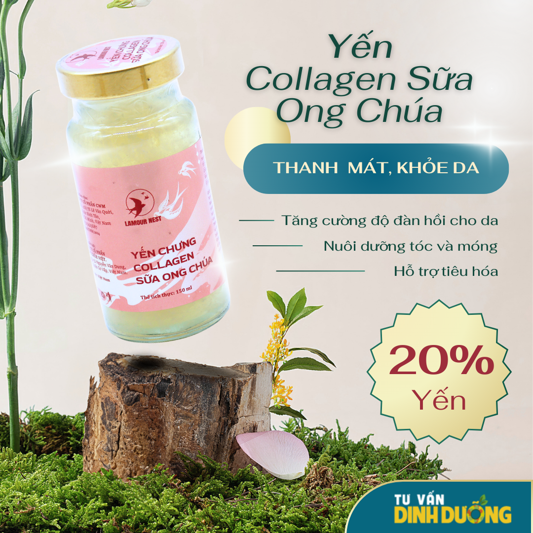 Combo 3 Hộp + Tặng Thêm 2 Hũ Yến Chưng Collagen Sữa Ong Chúa Lamour Nest (150ml x 6 hũ/hộp)