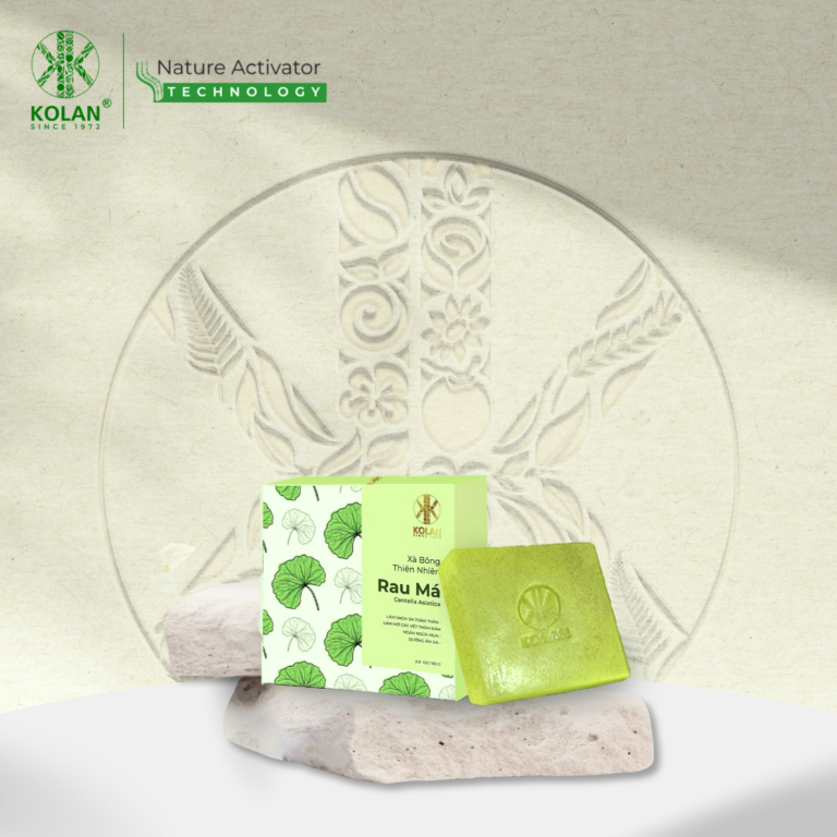 Combo Xà Bông Rau Má Thiên Nhiên 80g - Bông Tắm Xơ Mướp Tự Nhiên KOLAN